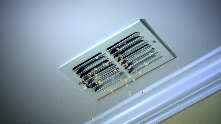 Best Air Duct Cleaning Near Me  in Logan, IA