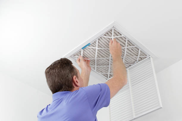 Best Home Air Vent Cleaning  in Logan, IA
